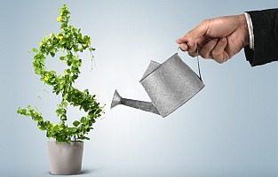 The 2021 Complete Financial Analyst Training & Investing Course 1 The 2021 Complete Financial Analyst Training & Investing Course