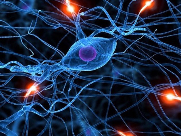 The Deep Learning & Artificial Intelligence Introductory Bundle
