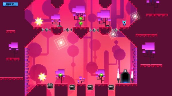 50 - Dynamic Bundle