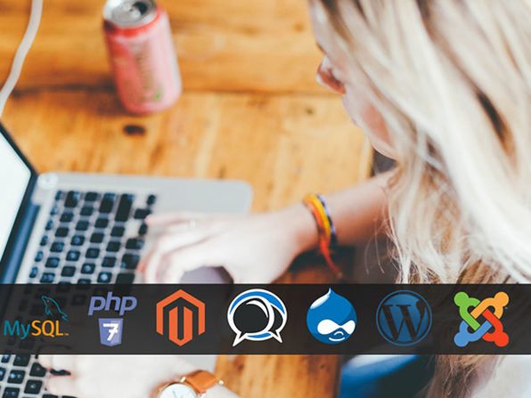 Arch Hosting Lifetime Subscriptions + 1 Yr Domain (95% off) 1 Arch Hosting Web Hosting