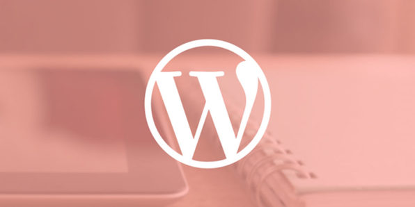 The WordPress Essentials Lifetime Bundle