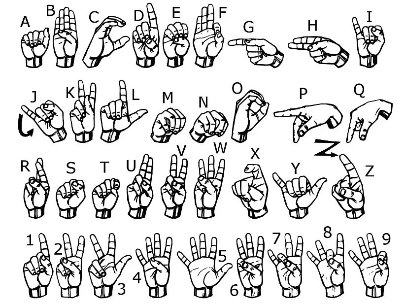 The Complete 2021 American Sign Language Master Class Bundle