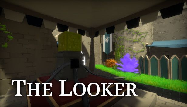 looker