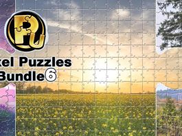 IndieGala Pixel Puzzles Bundle 6